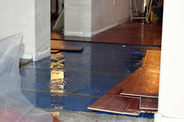 Professional Basement Water Removal technician working in Burlington, OH